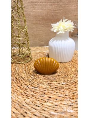 Şifa Pınarı Balmumu Mum Magnet Istiridye Modeli 20 Adet Mum Magnet