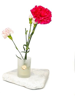 Missi Flora Design-Minimal Buzlu Cam Vazo