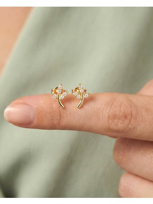 İndigo Takı Minik Sarmaşık 14 Ayar Altın Küpe