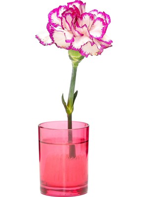 Missi Flora Design-Minimal Kırmızı Cam Vazo