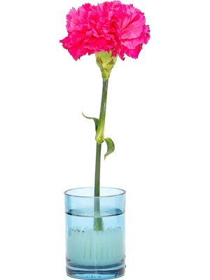 Missi Flora Design-Minimal Mavi Cam Vazo