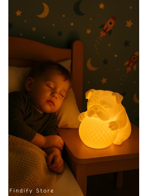 PremiumPort Sevimli Bulldog 3D Gece Lambası, Kablosuz LED Işıklı, Çocuk ve Bebek Odası Için