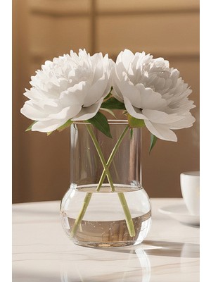 Oduman Dekoratif Elma Formlu Şeffaf Cam Vazo - Minimalist Çiçek Vazosu 11 cm