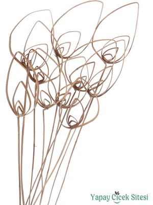 Yapay Çiçek Sitesi Kuru Çiçek Cane Pradeep 60 cm 10LU