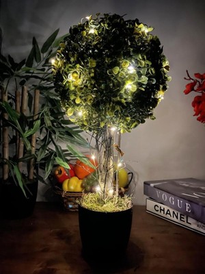 PremiumPort LED Işıklı Şimşir Top Yılbaşı Ağacı, Siyah Saksılı, 23X45CM