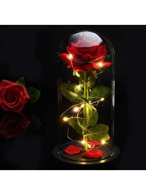 PremiumPort Işıklı Kırmızı Gül ve Periledli Sevgiliye Hediye Seti