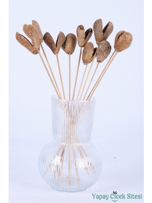 Yapay Çiçek Sitesi Kuru Çiçek Meyve (Fruit) 45 cm 10LU