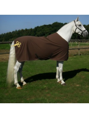 Yakasız Ip Detaylı Polar Blanket
