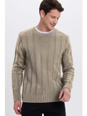 Tudors Erkek Standart Fit Normal Kesim Bisiklet Yaka Desenli Açık Vizon Kazak