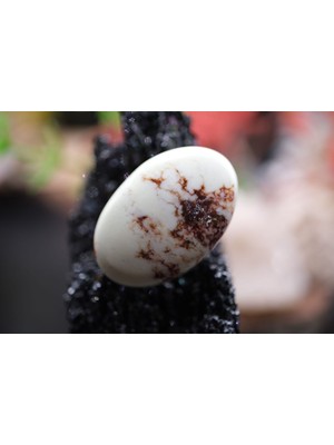 Aries 25.85CT 26.7X17.5MM Oval Natural Lemon Chryroprase