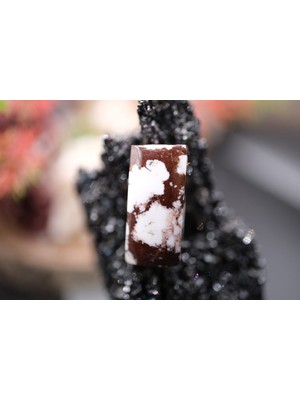 Aries 15.00CT 20.7x9.6mm Octagon Natural Wild Horse Jasper