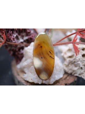 Aries 13.65CT 37.2X16.7MM Oval Natural Montena Agate