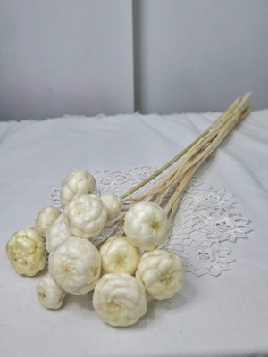 Birlik Kuru Enginar  Çiçeği Beyaz  Dekoratif