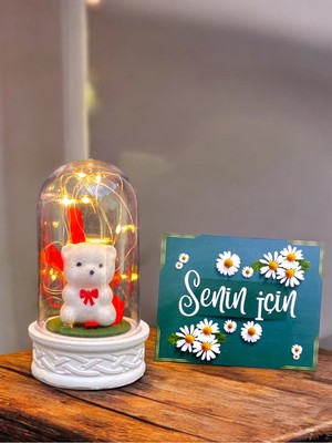 Normadia LED Işıklı Beyaz Ayıcıklı Fanus, Sevgiliye Doğum Günü Hediye