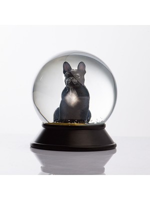 Normadia Siyah French Bulldog Cam ve Reçine Altın Patiler Kar Küresi