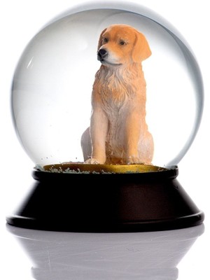 Normadia Parlak Cam ve Reçine Altın Patiler Golden Retriever Kar Küresi