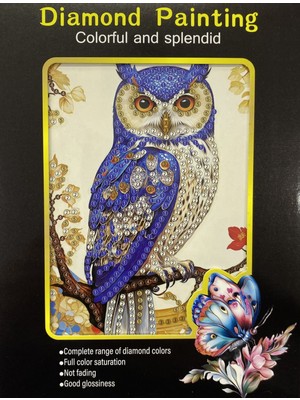 Elegantshop 5d Yapışan Boncuk Goblen Mozaik Tablo Pano 15*20 cm Baykuş