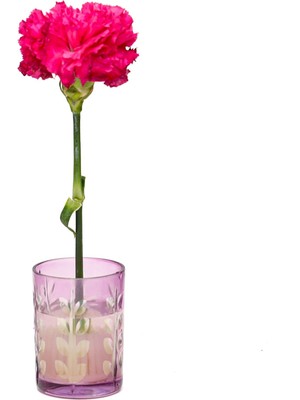 Missi Flora Design- Minimal Mor Yaprak Kesme Cam Vazo