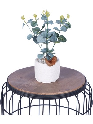 Yapay Çiçek Sitesi Beton Saksıda Yapay Bitkili Tanzimler Model 3