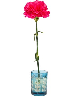 Missi Flora Design- Minimal Mavi Yaprak Kesme Cam Vazo