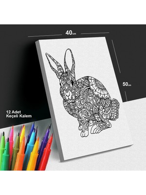 Sihirli Kulaklar 40X50 Tuval Boyama Seti - 12'li Keçeli Kalem Ile Birlikte -