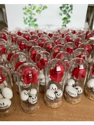 Siyah Lale Nikah Şekeri Cam Fanus Kırmızı Gül ve Fıstık Şekerli Nikah, Söz, Nişan Hediyelik - 25 Adet