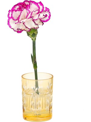 Missi Flora Design- Minimal Amber Kesme Cam Vazo