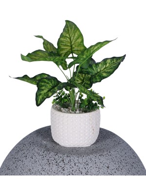 Yapay Çiçek Sitesi Beton Saksıda Yapay Bitkili Tanzimler Model 20