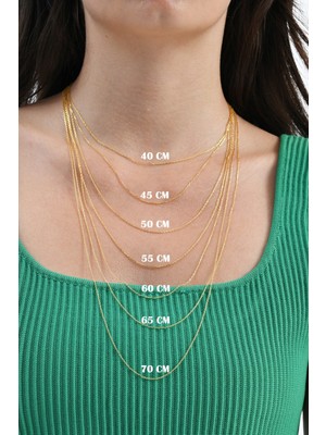 PremiumPort 925 Ayar Gümüş Zincir, 40-70 Cm, Şık ve Zarif Tasarım