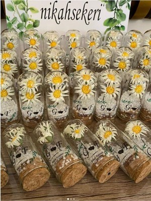 Siyah Lale Nikah Şekeri Cam Fanus 25 Adet Nikah Şekeri Papatya Kağıt Çiçek ve Çakıl Taşı