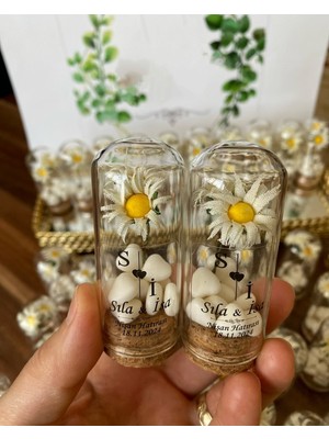 Siyah Lale Nikah Şekeri Cam Fanus Papatya Çiçek ve Kalp Şekerli Nikah, Söz, Nişan Hediyelik - 50 Adet