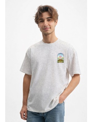 Caddekombin Erkek Art Nouveau Pencere Tasarımlı Gri T-Shirt