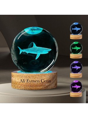 Keyfim Shop Isme Özel Büyük Boy Işıklı Ahşap Kaideli Köpek Balığı Cam Küre 8cm