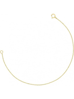 PremiumPort Parlak Altın Kaplamalı Gümüş 15 cm Kolye Ek Zinciri