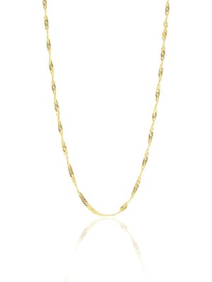 PremiumPort Kadın Gümüş ve Altın Renkli Singapur Modeli 50 cm Takı