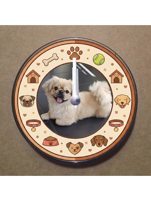 Bsb Kişiye Özel Magnet Saat Buzdolabı Süsü Duvar Saati 10,5cm MS5007