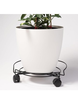 Tekniktel 3 Tekerlekli Tüpçek Damacana Tüp Saksı Altlığı Siyah