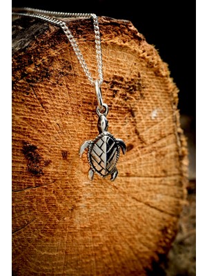 PremiumPort 925 Ayar Gümüş Mini Kaplumbağa Kolye, Unisex, Zarif ve Şık Tasarım