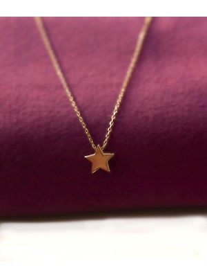 PremiumPort Şans ve Bereket Temalı 925 Ayar Rose Pembe Gümüş Zincir Kolye