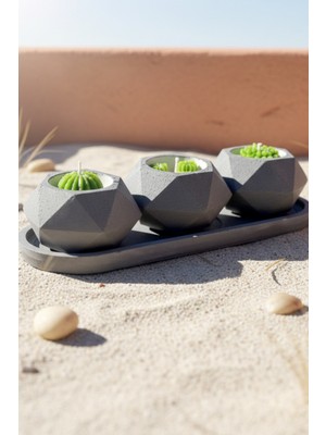 3’lü Taş Saksı Kaktüs Mum