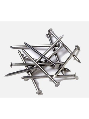 Torex Başlı Tel Çivi 10/30 Galvaniz, 1p=93 Adet