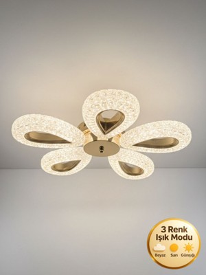 Litra Lighting Damla Model 5"li Gold 3 Renk Modu Ledli Modern Tavana Sıfır Salon Mutfak Çocuk Yatak Odası LED Avize