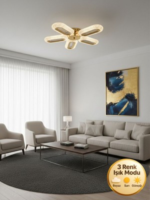 Litra Lighting Eclipse Model 5"li Gold 3 Renk Modu Ledli Modern Tavana Sıfır Salon Mutfak Yatak Odası LED Avize