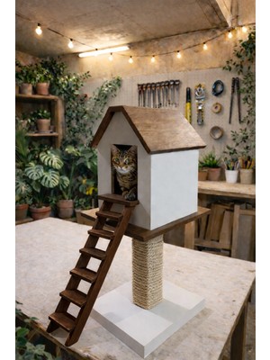 Kedi Kulübesi Kedi Evi