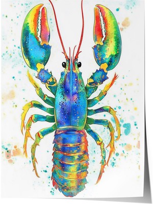 Zestia Poster Renkli Istakoz Ofis Dekoru