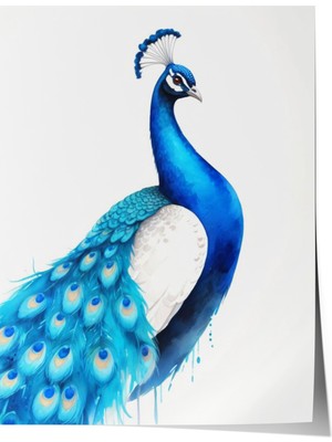 Zestia Poster Zarif Mavi Tavus Kuşu Illüstrasyonu Salon Dekoru