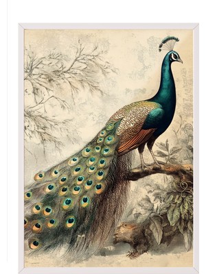 Zestia Beyaz Çerçeveli Duvar Tablosu Asil Tavus Salon Dekoru