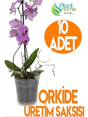 10 Adet Orkide Üretim Saksısı - Plastik Şeffaf Orkide Üretimine Uygun Saksı