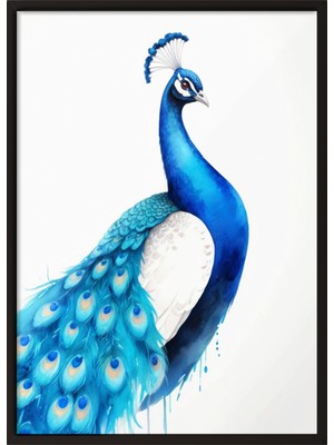 Zestia Siyah Çerçeveli Duvar Tablosu Zarif Mavi Tavus Kuşu Illüstrasyonu Salon Dekoru