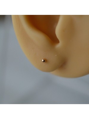 PremiumPort Şık Rose Gold Top Küpe, 2 Mm, Tek Adet, Zarif ve Modern Tasarım